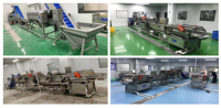 Baiyu industriële groenteverwerkingslijn met transportband, was- en snijmachine