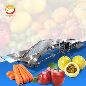 Ligne de tri de dattes industrielle ORME, petite machine de tri à rouleaux pour avocats, bleuets, cerises, pommes de terre, tomates - Product Image 1