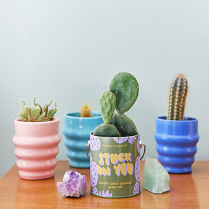 Paquete de 4 kits de cultivo de jardín más populares que tarro de cactus de pera Espinosa y es un regalo personalizado para amigos - Product Image 3