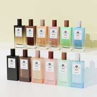 [Usine personnalisée] Bouteille de parfum en verre dépoli vide de luxe 100ml bouteille de parfum rectangulaire claire