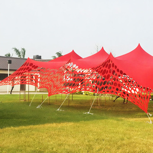 Carpa de <span class=keywords><strong>queso</strong></span> tipo túnel hueca de poliéster anti-UV para eventos al aire libre en las cuatro estaciones, con tamaños y colores personalizables - Product Image 1