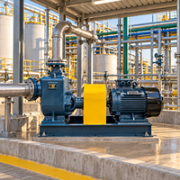 Pompe à eau auto-amorçante série ZW pour l'industrie chimique, robuste, haute efficacité, résistante aux produits chimiques, pour les systèmes de traitement des eaux usées