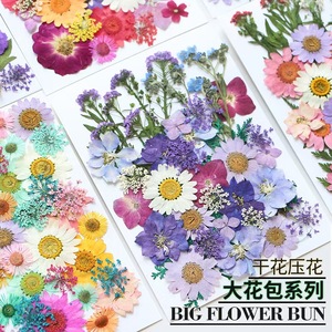 Vente en gros de mini sacs de matériaux de <span class=keywords><strong>fleurs</strong></span> sèches bricolage maquillage Nail Art cadre de téléphone décor vraies <span class=keywords><strong>fleurs</strong></span> pressées séchées naturelles pour résine - Product Image 4
