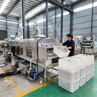 Commerciële droog-, desinfectie- en wasmachine voor plastic bakken, trays, dozen en pallets voor restaurants en keukens.