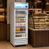 Réfrigérateur commercial vertical 250L à température unique, à froid direct, pour la présentation de boissons