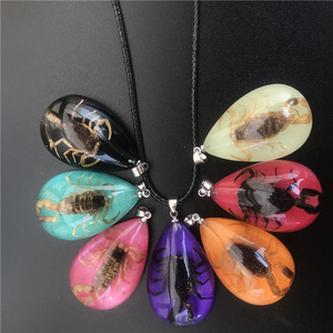 Collar con Colgante de Resina Transparente con <span class=keywords><strong>Insectos</strong></span> Reales, Collar con Espécimen de Insecto, Joyería para Hombre - Product Image 4