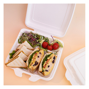 [Eco Togo <span class=keywords><strong>Box</strong></span>] thân thiện với môi bọt PP to-Go hộp bền nhẹ PP bọt khay và cấp thực phẩm để đi hộp - Product Image 3