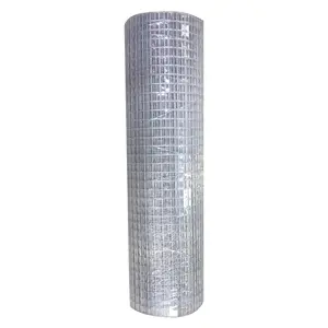 Diamètre 6mm 6 gauge volière inoxydable chien lapin oiseau cage 9 gauge 6ft gabion mur de pologne treillis métallique soudé 50x50