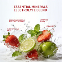 OEM Elektrolyt Drankmix - Zonder Toegevoegde Suiker, Gemaakt met Echt Fruit, Essentiële Mineralen, 28 Sticks, Private Label