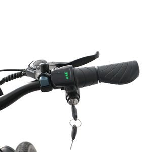 Offre Spéciale 350W VTT électrique pour adultes 36V 10Ah Li batterie moyeu arrière moteur cadre en acier frein à disque vélo de ville électrique - Product Image 5