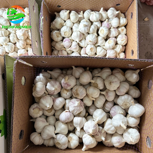 <span class=keywords><strong>Ail</strong></span> frais de haute qualité, sans bulbes pourris, provenant de fermes chinoises, durée de conservation de 12 mois, grande quantité disponible pour la Chine - Product Image 2