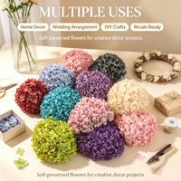 Bunga Hydrangea Abadi Grosir, Bunga Awet untuk Hadiah Hari Valentine & Hari Ibu 2020, Pot & Planter Bunga Tahan Lama