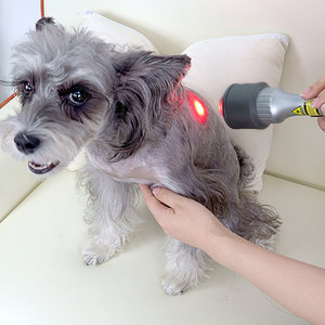 Flash Sale Veterinär-Lasertherapie-Physiotherapie-Maschine 810nm 980nm Wellenlänge für die Heilung von Haustier verletzungen - Product Image 1