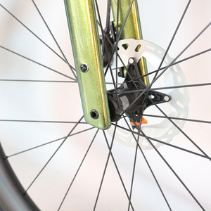 Bicicleta Completa <span class=keywords><strong>Tantan</strong></span> GR356 700*61C 29*2.4, Cuadro de Carbono, Bicicleta de Gravel, Cuadro con Frenos de Disco, Grupo Mecánico GRX 820 1*12S - Product Image 5