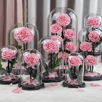 Rose naturelle véritable Belle Enchanted, coffret cadeau pour la fête des mères, décoration, rose éternelle, fleur préservée dans un dôme en verre avec LED