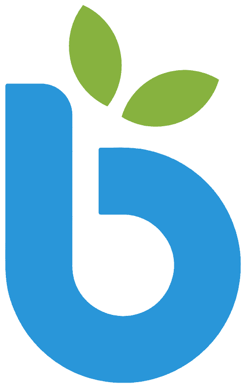 Beijing Babur Technology Co., Ltd. logo