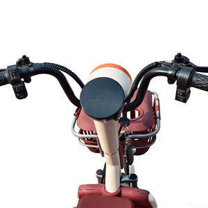 Tricycle électrique Holladay 600W à carrosserie ouverte, scooter de mobilité 2 <span class=keywords><strong>places</strong></span>, vélo électrique à 3 roues pour adultes et personnes âgées, utilisation en extérieur - Product Image 5