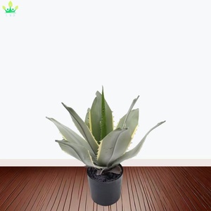 Planta Artificial de <span class=keywords><strong>Agave</strong></span> Grande con Hojas Suaves de Borde Dentado, Plantada <span class=keywords><strong>en</strong></span> <span class=keywords><strong>Maceta</strong></span> Negra para Decoración de Hogar, Oficina, Porche, Jardín - Product Image 6