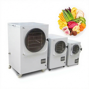 Grande <span class=keywords><strong>machine</strong></span> de lyophilisation <span class=keywords><strong>sous</strong></span> <span class=keywords><strong>vide</strong></span> pour fraises et pommes en acier inoxydable - Product Image 3