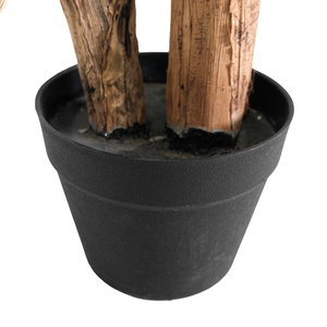 Árbol de <span class=keywords><strong>Acacia</strong></span> Artificial de Alta Calidad, Certificado, con Tacto Realista, de PE Ecológico y Duradero, para Interiores, Jardín, Hogar, Festivales, Maceta, Oficina - Product Image 5
