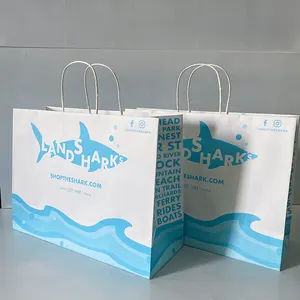 HDPK Kunden spezifische Geschenk papiertüten mit Ihrem eigenen Logo biologisch abbaubare Taschen robuste Verpackung