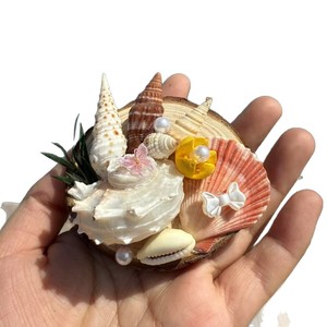 Imanes de Refrigerador con Rebanadas de Madera Creativas, Hechos a Mano con Conchas Naturales y Estrellas de Mar, Regalos Promocionales Empresariales - Product Image 5