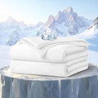 Couette Rafraîchissante pour les Nuits Chaudes, Couverture Rafraîchissante d'Été Taille Queen pour les Sueurs Nocturnes, Respirante Toutes Saisons 90 x 90 Pouces Blanche
