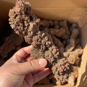 Bán buôn tự nhiên monazite tinh thể kim cương mẫu vật hiếm khủng long phân hóa Thạch Thô khoáng sản của trái đất linh vật đá - Product Image 4