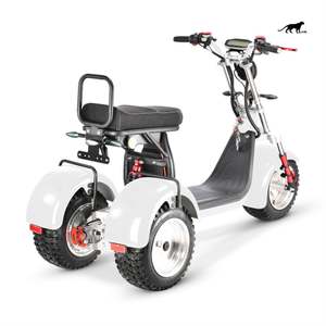 Tricycle électrique et solaire à écran LCD de 60V, 10 pouces, <span class=keywords><strong>125cc</strong></span>, moto à <span class=keywords><strong>3</strong></span> <span class=keywords><strong>roues</strong></span>, <span class=keywords><strong>scooter</strong></span> à <span class=keywords><strong>3</strong></span> <span class=keywords><strong>roues</strong></span>, 2000W, vente à chaud - Product Image 1