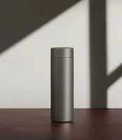 Thermos en titane pur de 500 ml, thermos d'affaires avec infuseur à thé, bouteille d'eau portable saine