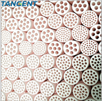 TANGENT Kapasitas 1000L Rumah Membran Keramik Titanium untuk Filtrasi Air Industri Produktivitas 1000L/Jam Garansi 2 Tahun 2kW