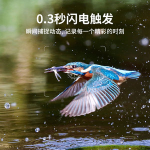 กล้องติดตามสัตว์ 4G พลังงานแสงอาทิตย์ 1080P ตรวจจับความเคลื่อนไหว PIR อินฟราเรดมองเห็นในเวลากลางคืน 20M IP65 กันน้ำ กล้องเฝ้าระวังการล่าสัตว์ - Product Image 4