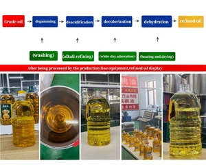 Заводская цена, мелкомасштабное оборудование для переработки соевого подсолнечного масла, машина для переработки арахисового пальмового масла