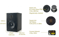 Enceintes de bibliothèque Samtronic Active Hi-Res Audio originales à vente chaude 2025, haut-parleur de 6,5 pouces, moniteur de studio alimenté /USB/