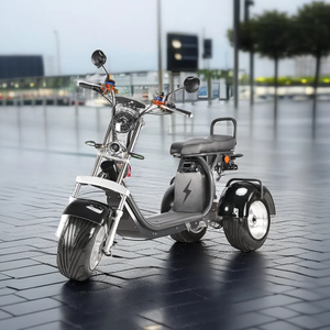 Entrepôt aux Pays-Bas, <span class=keywords><strong>moto</strong></span> électrique à trois <span class=keywords><strong>roues</strong></span> avec moteur double 4000 W (2000 W chacun), batterie 55 Ah, oscillation, avec pneu tout-terrain en option - Product Image 1