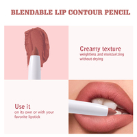 Crayon à lèvres pigmenté de haute qualité avec pinceau et taille-crayon, logo personnalisé, vegan, waterproof, crémeux, marque privée
