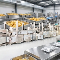 Línea de Producción de Papas Fritas de Alta Eficiencia, 500 kg/h, con Sistema Integrado de Filtración de Aceite