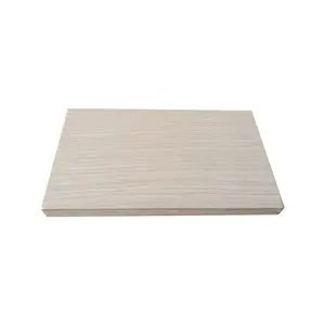 18mm both sides laminated melamine plywood for furniture and door melamine plywood home design