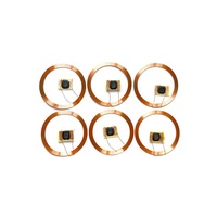 Carte à puce intelligente, puce LF 125Khz CET5577 T5577 COB Micro Rfid