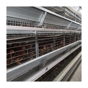 Jaula de animales de acero tipo H TBB para granja de pollos de capa, gallinero de gallinas con batería automática utilizado como gallinero para <span class=keywords><strong>pollo</strong></span> - Product Image 4