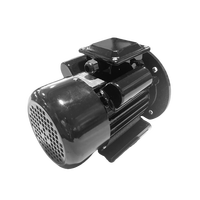 Moteur asynchrone triphasé YL-801-4 0,55 kW 0,75 CV B35 1400 tr/min 50 Hz, moteur AC à carter en fonte pour l'automatisation industrielle 12