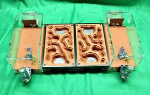 <span class=keywords><strong>Fourmilière</strong></span> rectangulaire moderne en acrylique écologique pour l'éducation scientifique et l'enseignement scolaire - Product Image 6