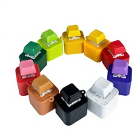 Porte-clés en plastique enregistrable et rechargeable, style mignon, breloque anti-stress fantaisie, cadeau créatif pour fans