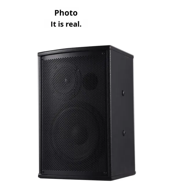 Yinzhida Q6 5-inch Rectangular Professional Conference Sound System Mono Floor-standing Showroom Speaker Pair China