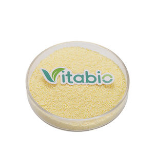 Hoogwaardig CAS 62-46-4 Alfa-Liponzuur Granulaat Thioctzuur Alfa-Liponzuur (ALA) DC Granulaat 20 - Product Image 2