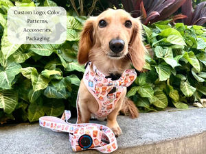 Nettes Haustier zubehör Deluxe Hunde geschirrset Verstellbares Haustier geschirr mit Leine, Halsband, Bandana, Bowtie & Poop Bag Holder - Product Image 2