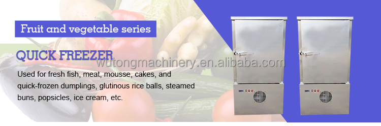 Commercial Fast Freezing Small Refrigeration Machine 1 Door Refrigerator Blast Chiller Shock Freezer