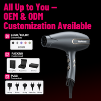 Sèche-cheveux professionnel compact électrique FirePhoenix F3 MAX PRO 3000W, 12 combinaisons de coiffage polyvalentes pour hôtel et usage domestique