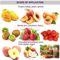 Automatische industriële aanpasbare sinaasappelvruchtvlees-extractiemachine van roestvrij staal, pulpmachine, motor 380V 1500W