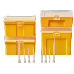 AMNGENT Fournisseur de laboratoire Filtre stérile en plastique Embouts de micropepette autoclavables Embouts de filtre de pipette jetables 20ul - Product Image 4